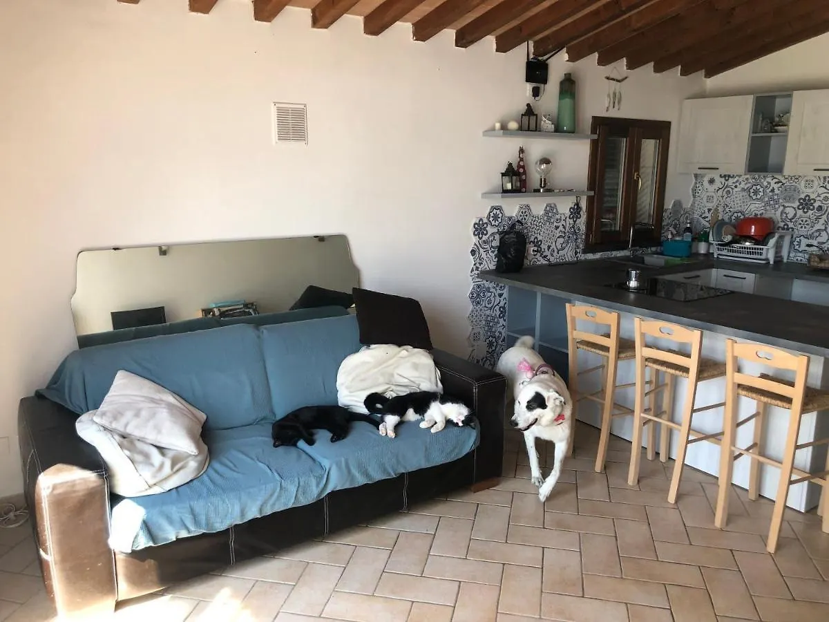 Green House Accommodation Cascina Holiday home