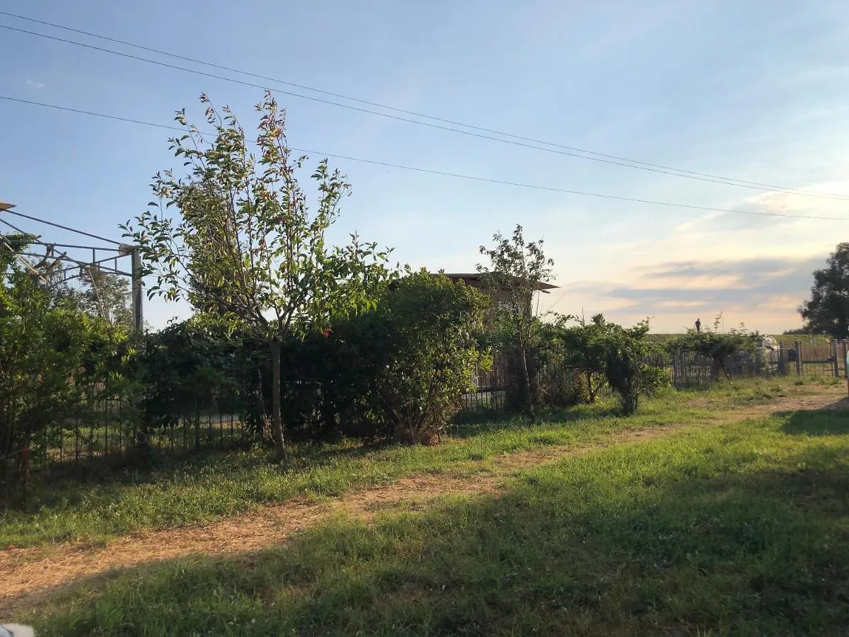 Holiday home Green House Accommodation Cascina Italy