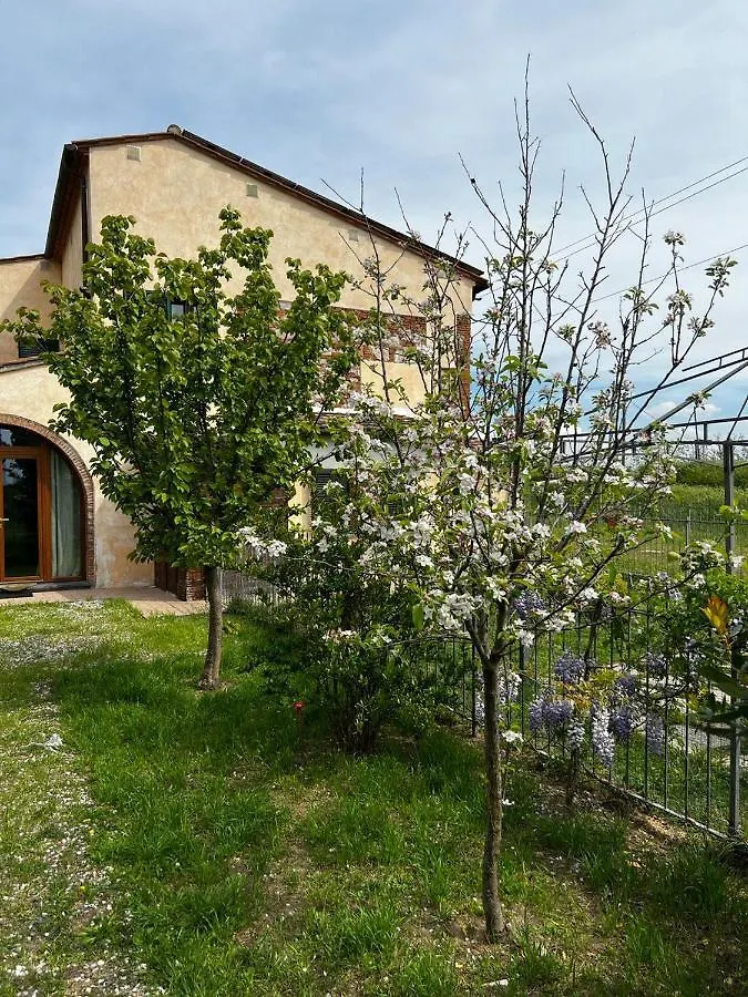 Green House Accommodation Cascina Italy