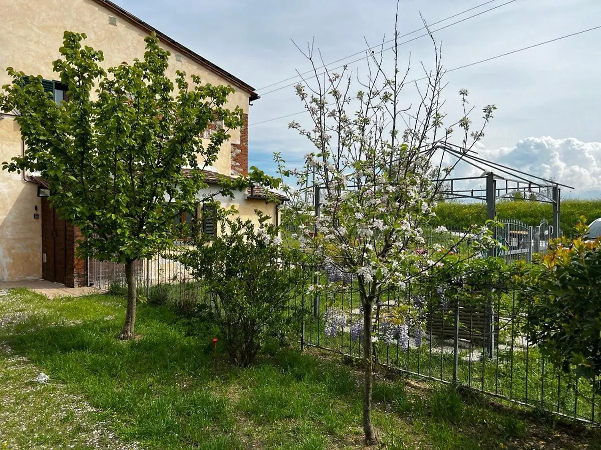 Green House Accommodation Cascina Italy